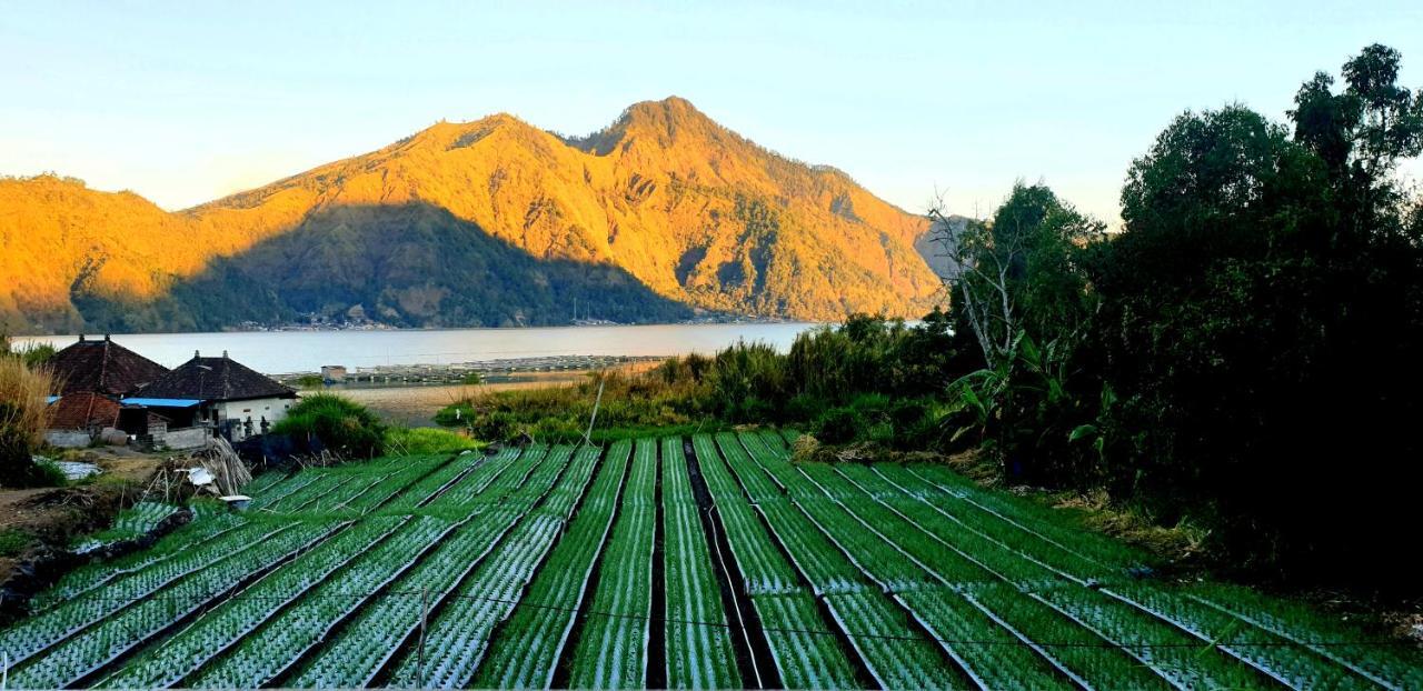 Volcano Lake View Kintamani Esterno foto